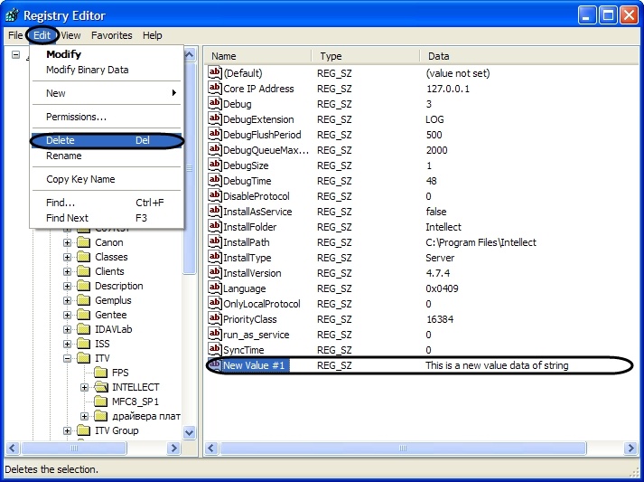 Intellect 4.10.4 (english) > Deleting parameters from the Windows OS registry > 3.jpg